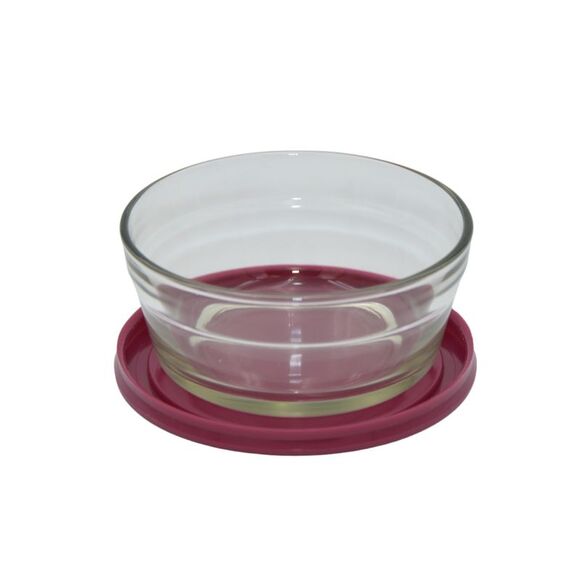 Smart Home Nesting 8 Ounce Glass Bowl Set with Lids, Set of 4 - Picture 5 of 5